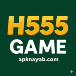 H555 Game