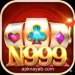 N999 Game